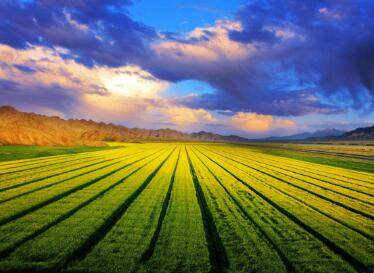 古玩店起名大全免费取名（精选600个）