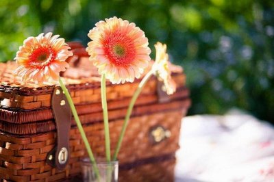 ​一个人特别沮丧的说说句子(陪我走到最后的也仅有我自己而已)