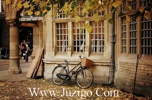 优美的句子爱情文艺短语文艺唯美的句子(精选22句)