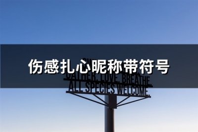 ​伤感扎心昵称带符号(精选162个)