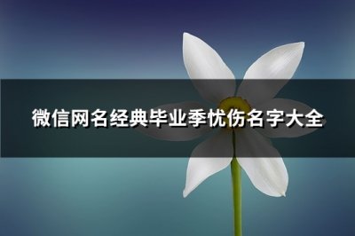 ​微信网名经典毕业季忧伤名字大全(共182个)