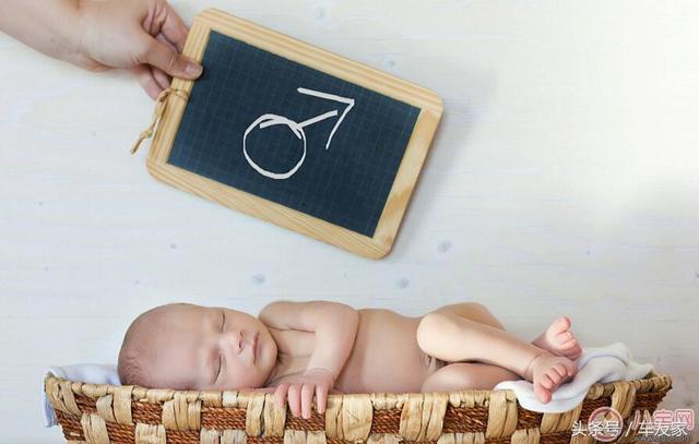 男宝宝取名珏与什么字配?男宝宝取名杨什么-第1张图片- 男宝宝取名珏与什么字配?男宝宝取名杨什么-第1张图片-