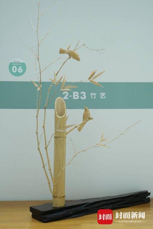 如何给竹的摄影作品取名(春天摄影作品取名)-第1张图片- 如何给竹的摄影作品取名(春天摄影作品取名)-第1张图片-