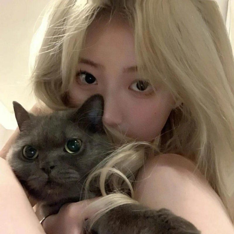 60个好听唯美的谐音网名推荐,搞笑逗比有内涵的昵称-第10张图片- 60个好听唯美的谐音网名推荐,搞笑逗比有内涵的昵称-第10张图片-