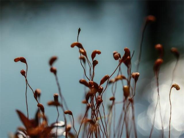 25个简单洋气的女生英文名推荐,气质独特好听的女孩名-第2张图片- 25个简单洋气的女生英文名推荐,气质独特好听的女孩名-第2张图片-