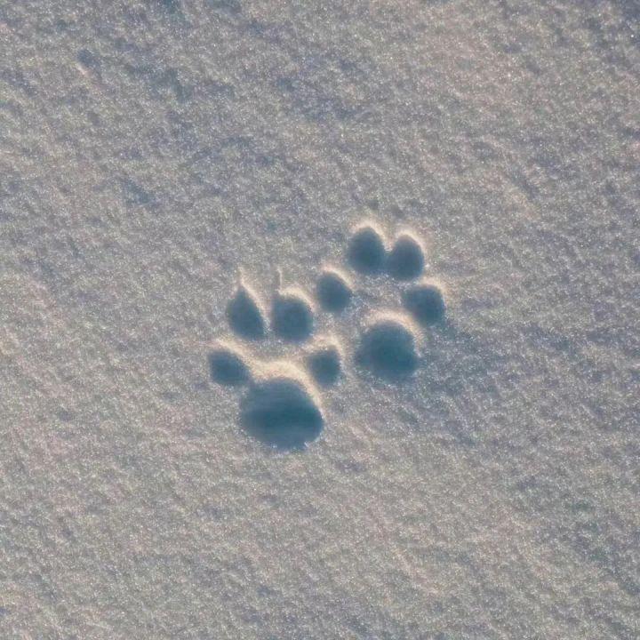 30对个性的非主流情侣qq名称,最新霸气超拽的情侣qq名-第4张图片- 30对个性的非主流情侣qq名称,最新霸气超拽的情侣qq名-第4张图片-