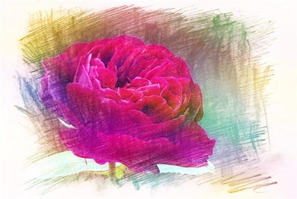 24个高情商很甜很撩的表白句子推荐,浪漫到极致高质量动情的表白情话-第1张图片- 24个高情商很甜很撩的表白句子推荐,浪漫到极致高质量动情的表白情话-第1张图片-