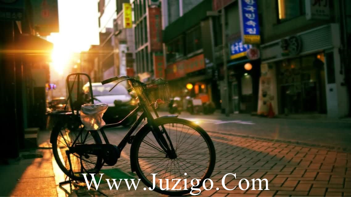 最新的最新唯美的句子大全唯美句子大全(精选21句)
