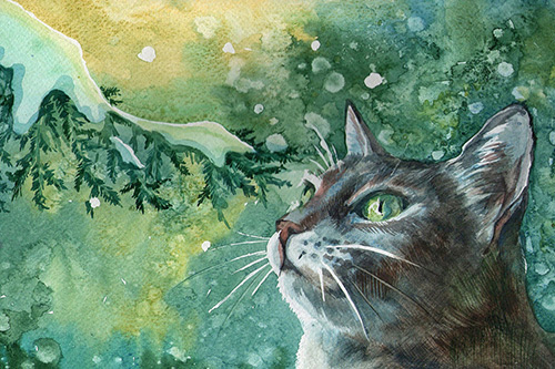 关于莲花的唯美句子77句