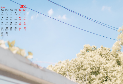 1683103704345889.png image.png