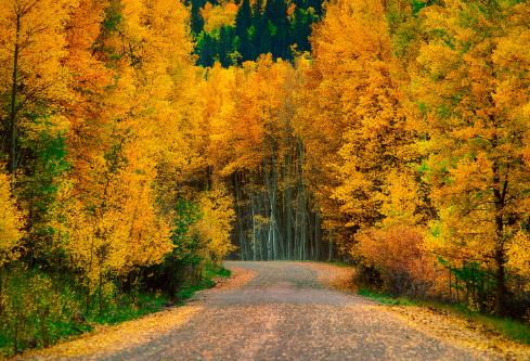 1689264710781198.png image.png