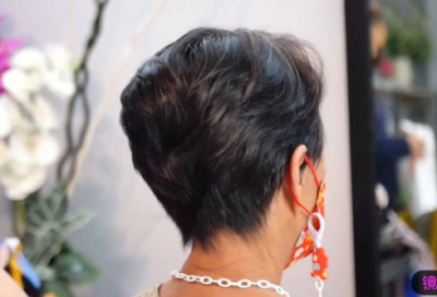 ​宠物网名153个