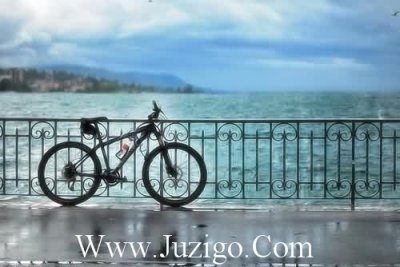 ​精选的最流行的句子大全精选句子大全90字(精选85句)