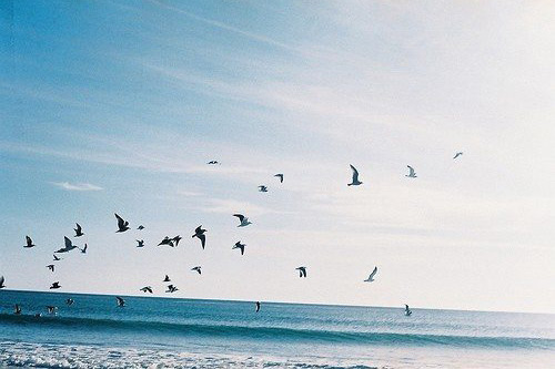 对兄弟失望的句子97句