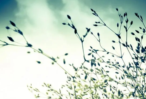 1685700095109335.png image.png