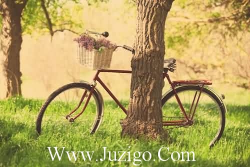 激励坚持不懈的句子激励人坚持不懈的句子(精选35句)