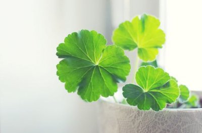 ​形容衣服漂亮的句子55句