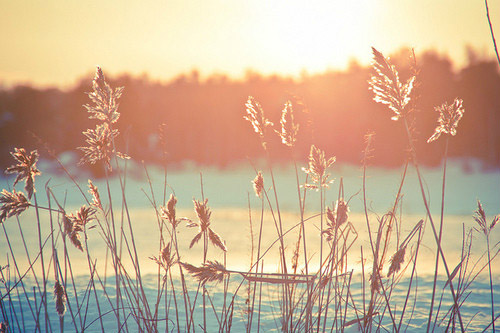 高尔基母亲好词好句