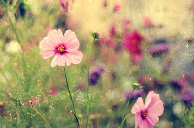 ​最甜蜜的句子91句