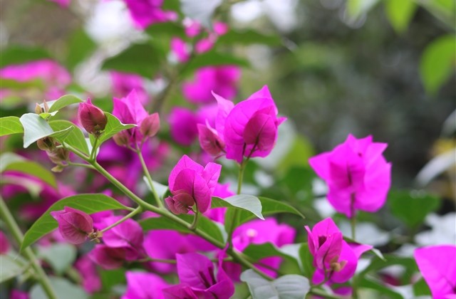 超甜互动式的情侣昵称