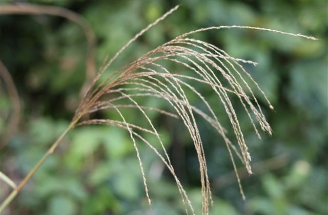 清甜的情侣网名(365个)