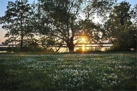 感恩的句子经典语录