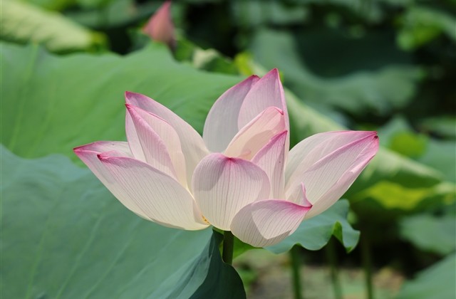 2023最火的网名女(428个)