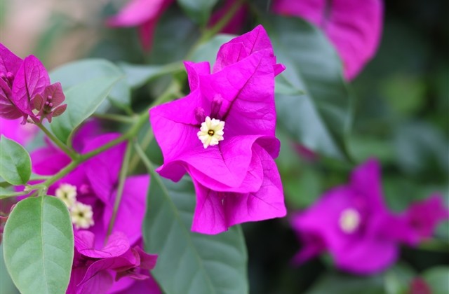 网名高冷霸气十足