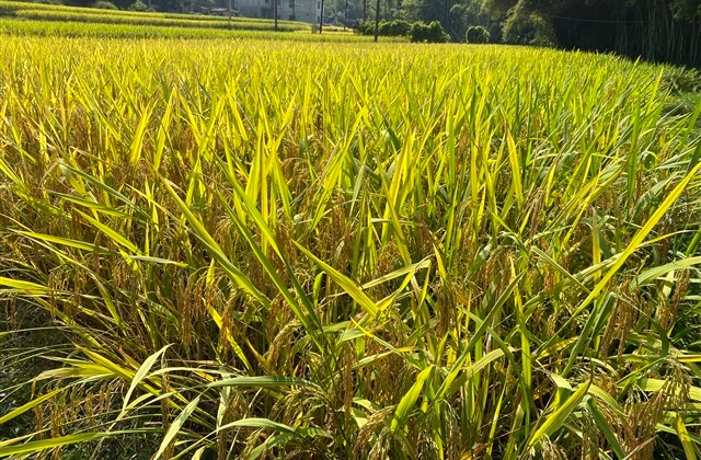 网名大全2023霸气 网名大全2023霸气