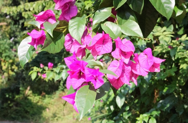 比较酷的游戏昵称(214个)