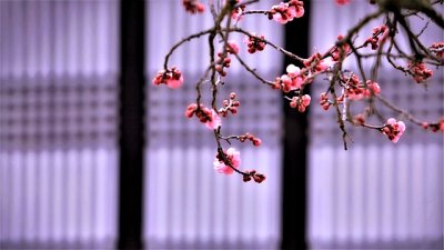 ​描写心里痛苦的句子92句