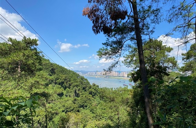 优秀的沙雕网名四个字