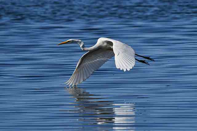 鼓舞人的句子(精选20句)