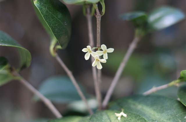 女生伤感qq网名(172个)