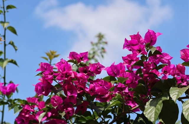 微信个性网名经典版男女通用(优选150个)