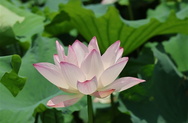 qq幸福情侣网名大全(优选71个)