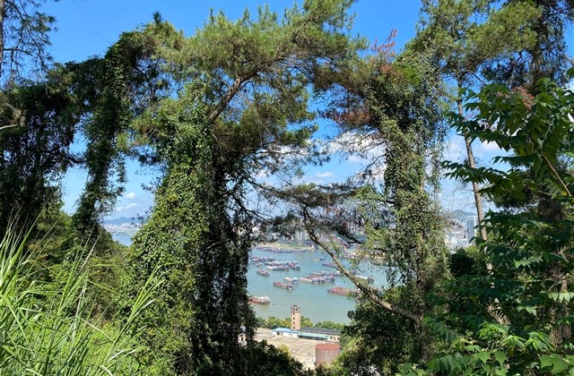 qq幸福情侣网名大全(优选71个)