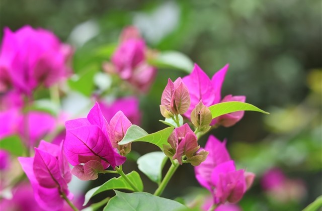 看一眼就心动的四字网名69个 看一眼就心动的四字网名69个