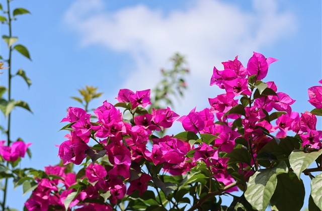 看一眼就心动的四字网名69个 看一眼就心动的四字网名69个