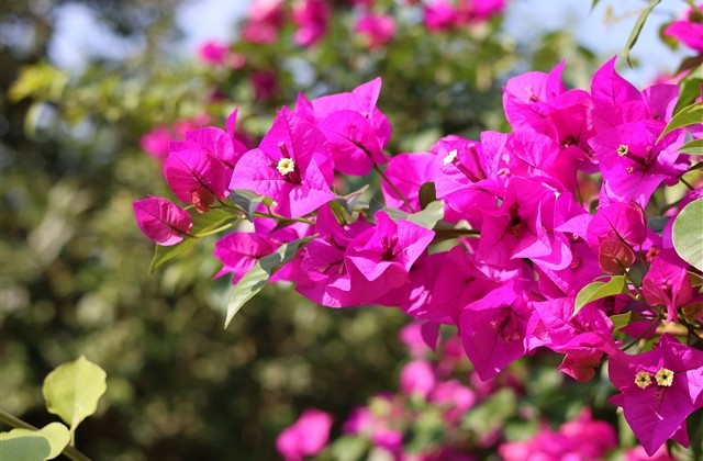 带符号的两字网名(精选92个)