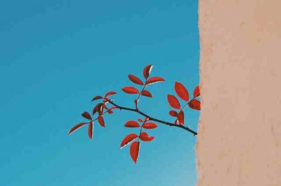 ​好听又独特的微信名字