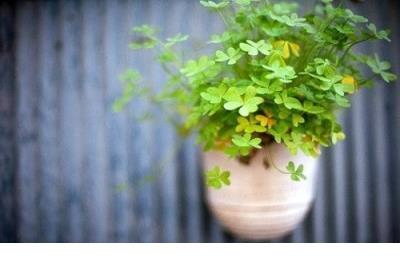 最适合发说说的句子