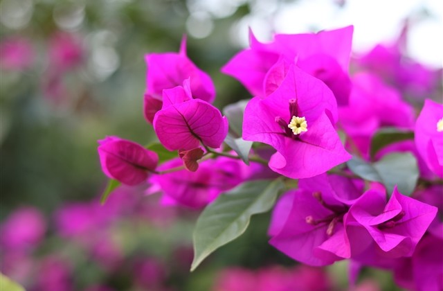 有寓意的法语网名