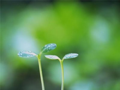 ​2023四月你好最新朋友圈句子