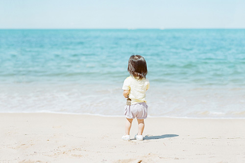 送高三学生的高考吉祥语牛的四字吉祥语(精选55句)