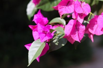 ​个性网名女生简单气质唯美