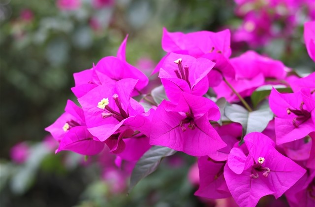 两个字独特好听名字女网名 两个字独特好听名字女网名