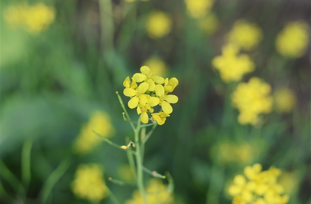 看了想哭的忧伤女生网名两个字(精选665个) 看了想哭的忧伤女生网名两个字(精选665个)