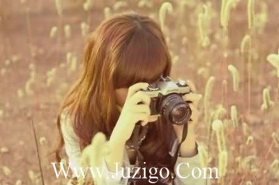 ​拟人句写小鸟30句