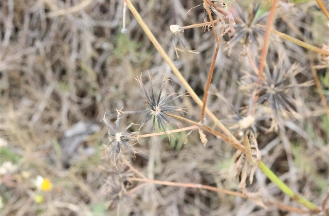 六个字骚气的游戏名字 六个字骚气的游戏名字